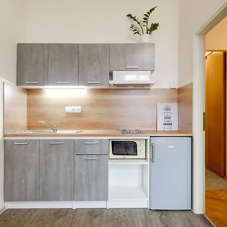 Vita Nejedleho Apartments Prague Exterior photo