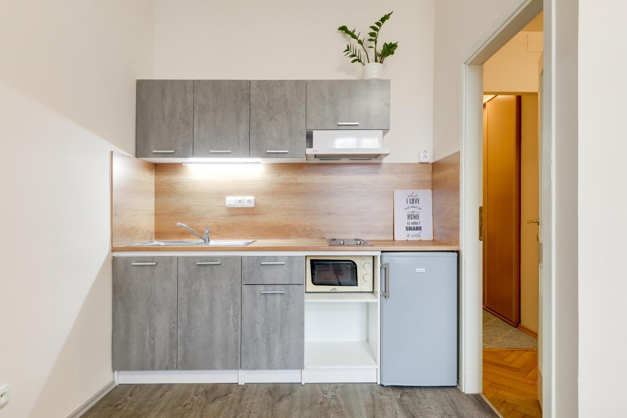 Appartement Nejedleho Praag